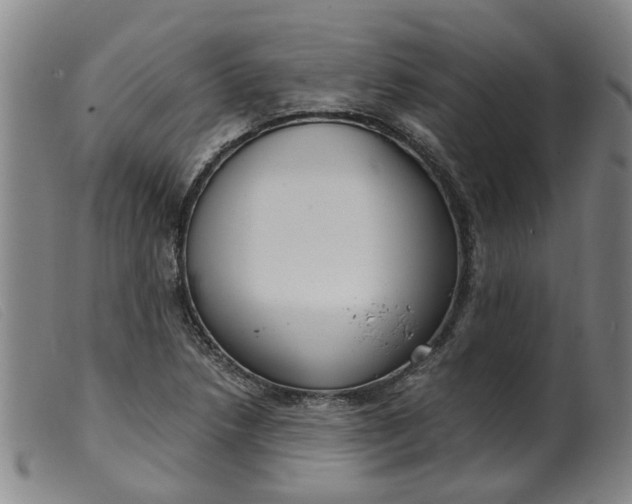 X0000099401218200805221848