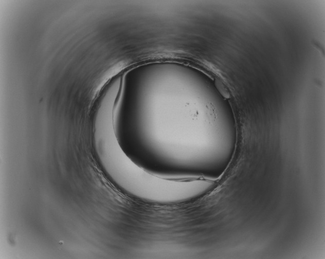 X0000099401219200805221848