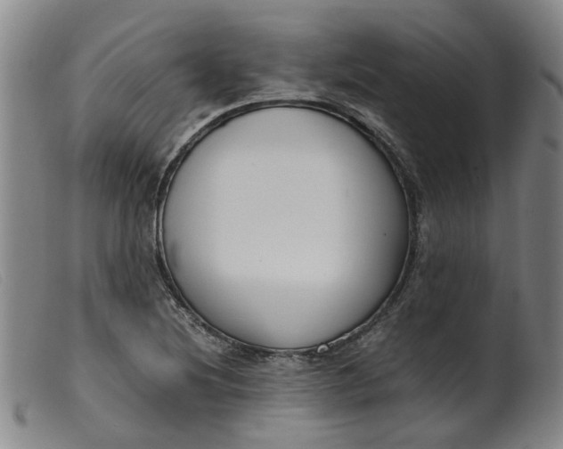 X0000099401220200805221848