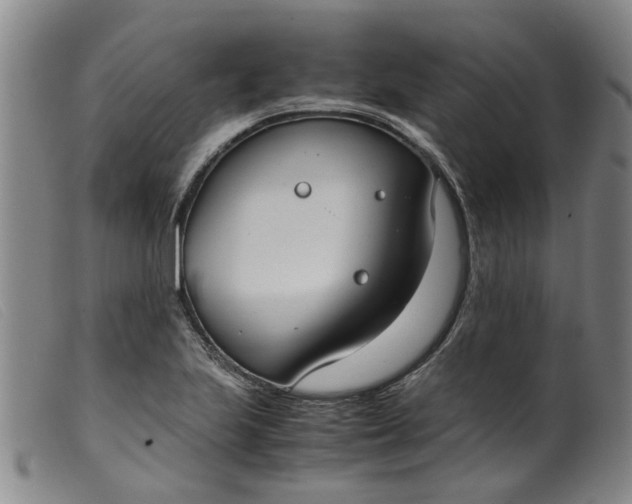 X0000099401223200805221848