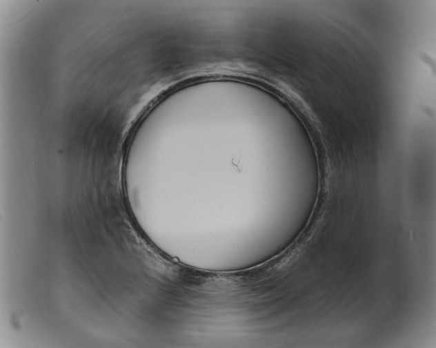 X0000099401224200805221848