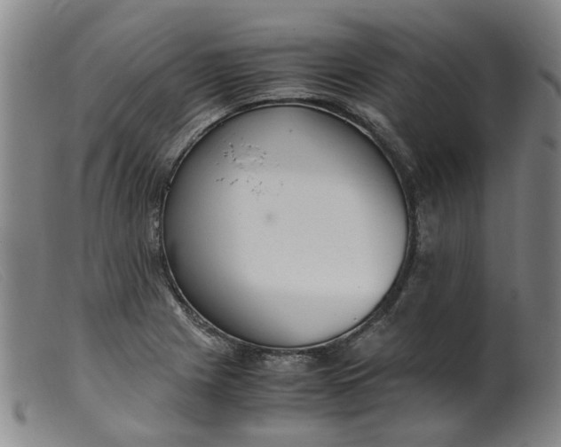 X0000099401225200805221848