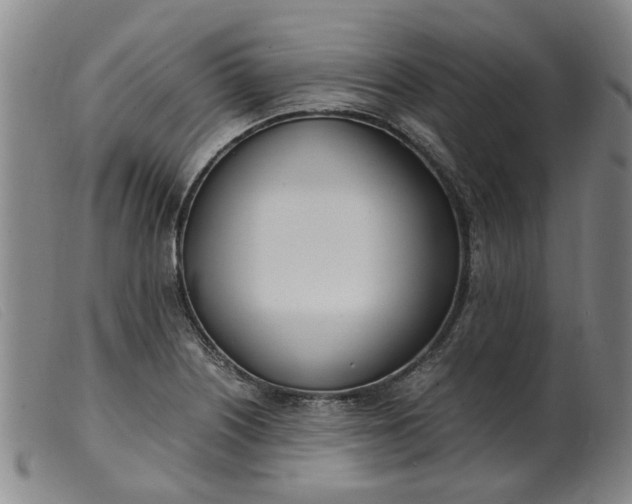 X0000099401226200805221848