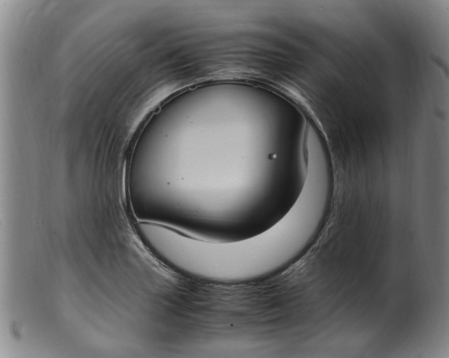 X0000099401227200805221848