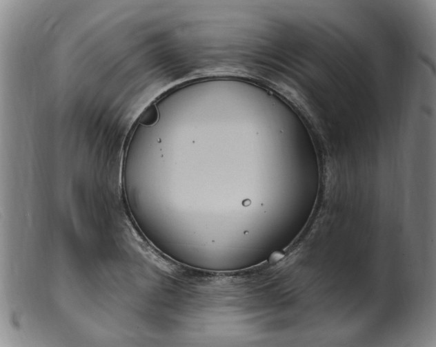 X0000099401228200805221848