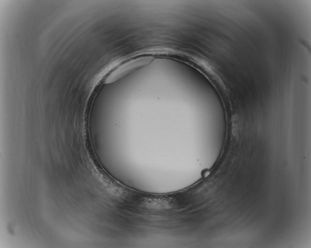 X0000099401229200805221848