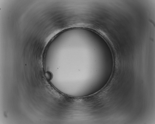 X0000099401230200805221848