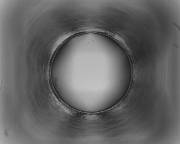 X0000099401231200805221848