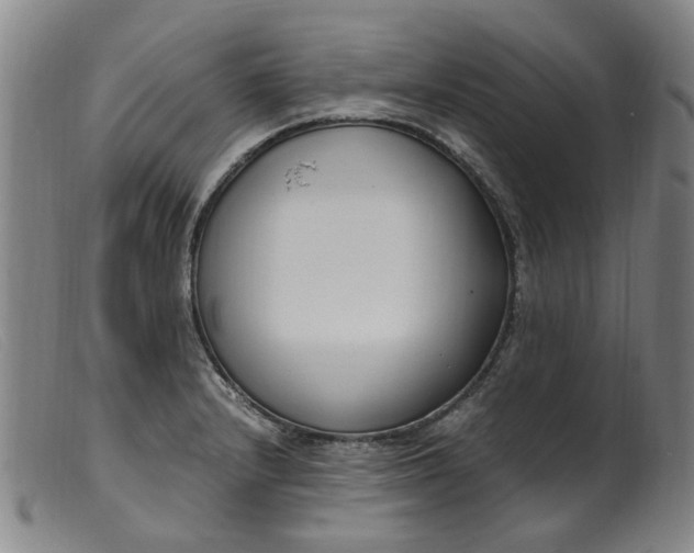 X0000099401232200805221848