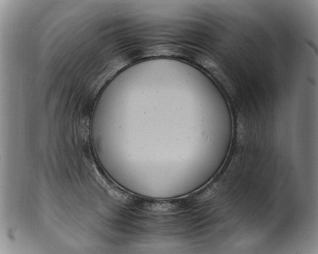 X0000099401233200805221848