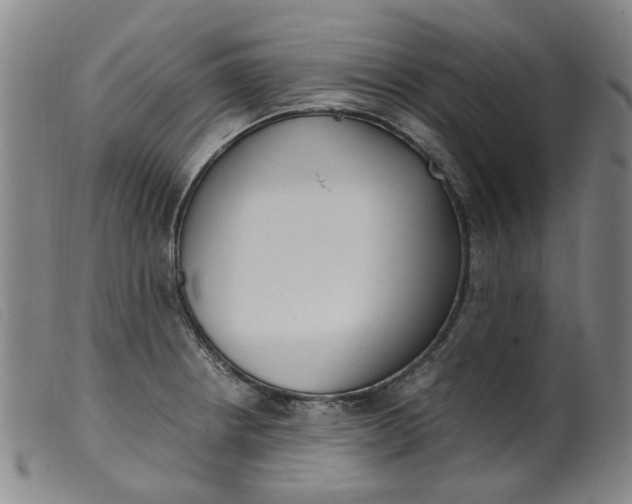 X0000099401234200805221848