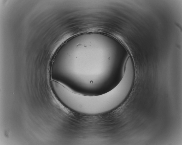 X0000099401235200805221848