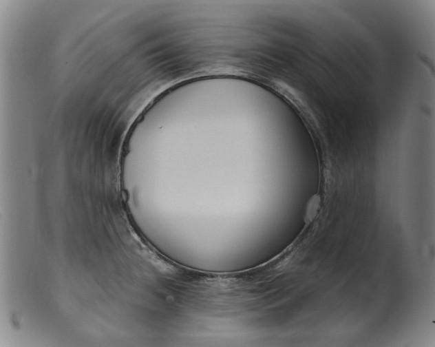 X0000099401236200805221848