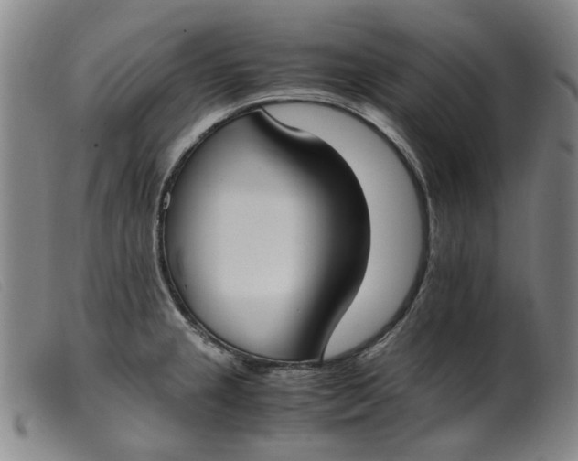 X0000099401237200805221848