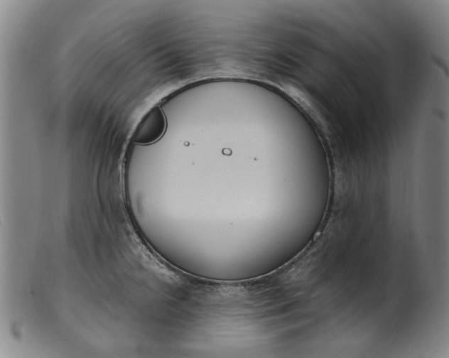 X0000099401238200805221848