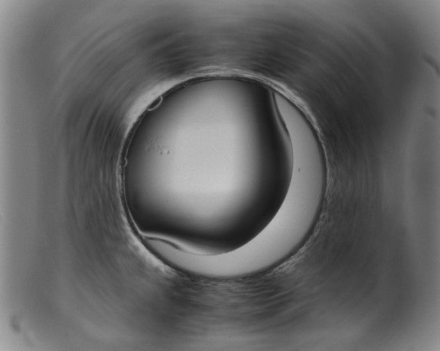 X0000099401239200805221848