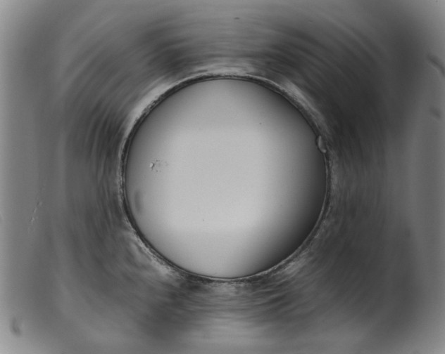 X0000099401240200805221848