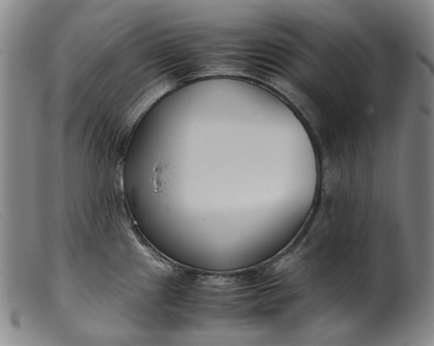 X0000099401241200805221848