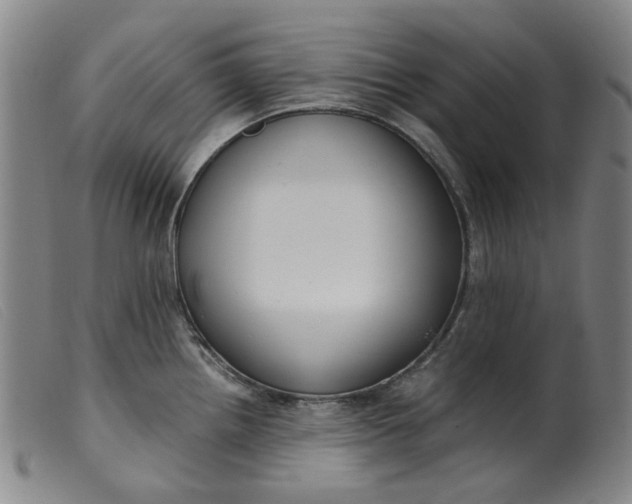 X0000099401242200805221848