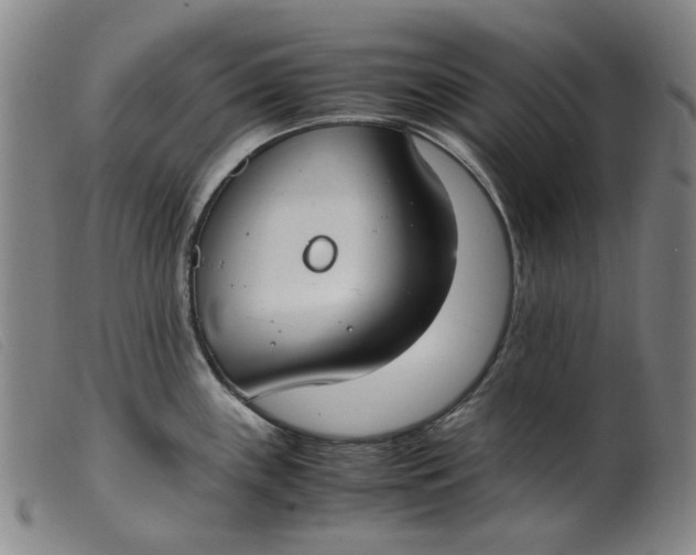 X0000099401243200805221848