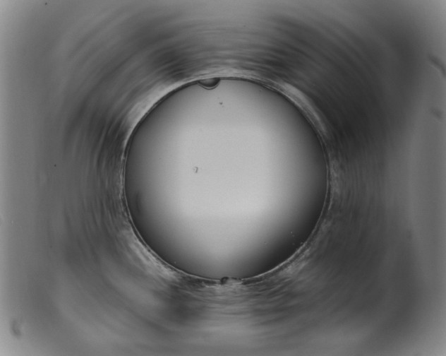 X0000099401244200805221848