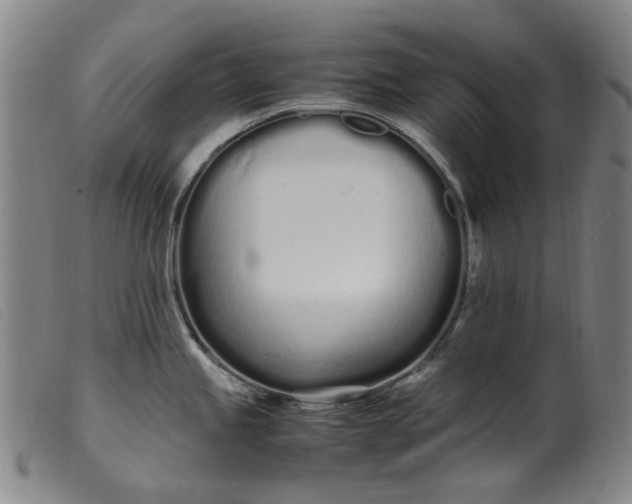 X0000099401245200805221848