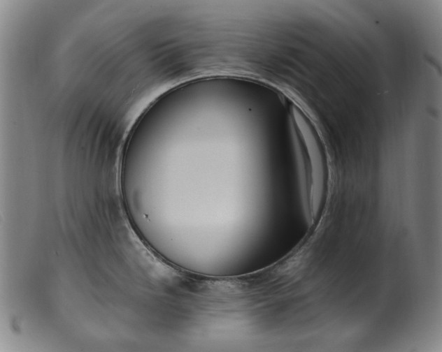 X0000099401246200805221848