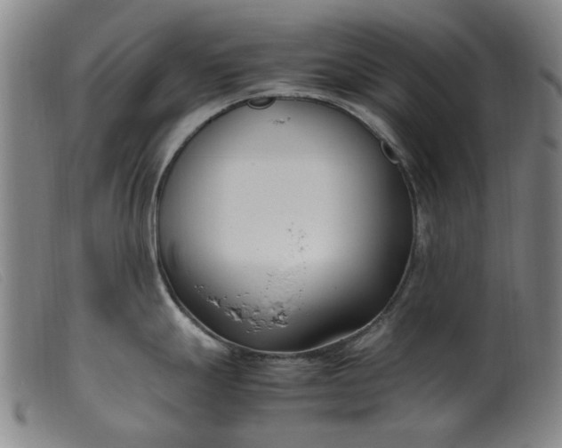 X0000099401247200805221848