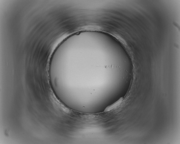 X0000099401248200805221848