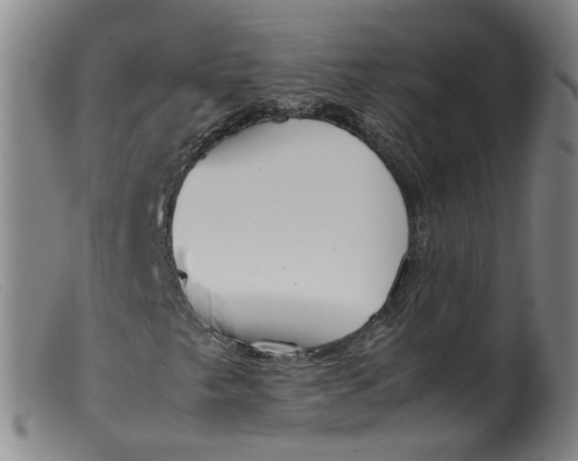 X0000099401249200805221847