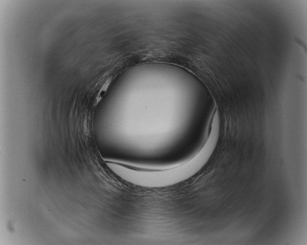 X0000099401250200805221847