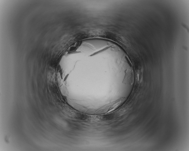 X0000099401251200805221847