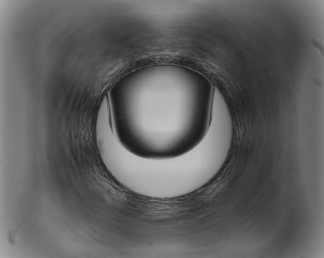 X0000099401252200805221847