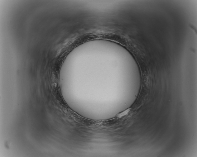 X0000099401253200805221847