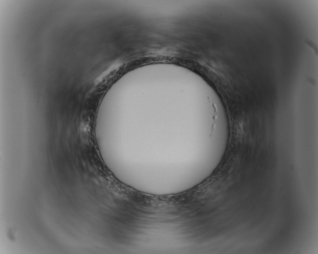 X0000099401254200805221847