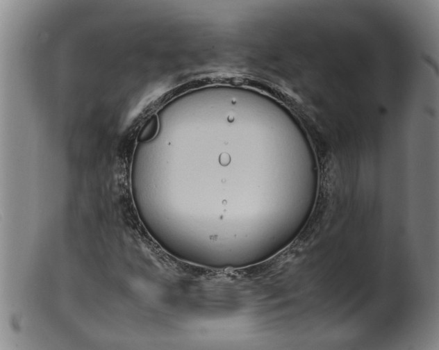 X0000099401255200805221847