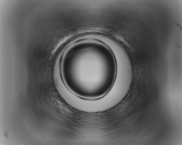 X0000099401256200805221847