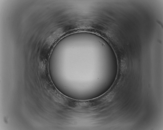 X0000099401257200805221847