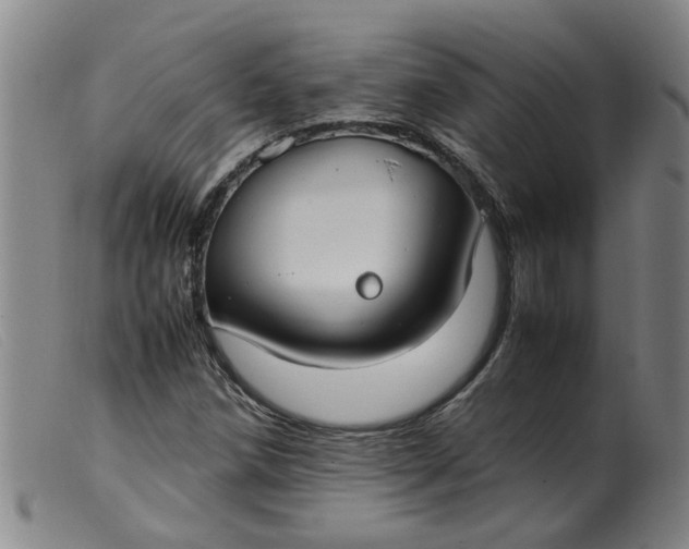 X0000099401258200805221847