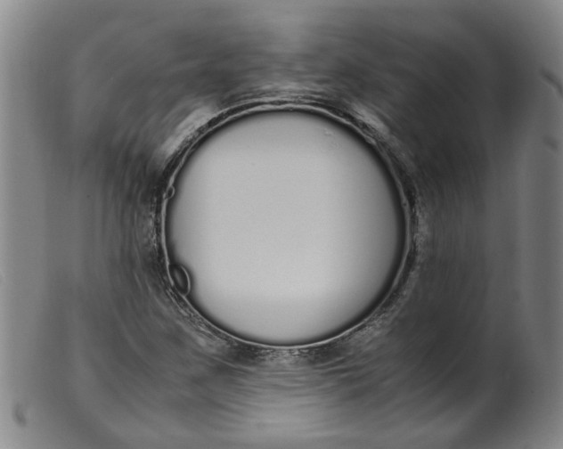 X0000099401259200805221847