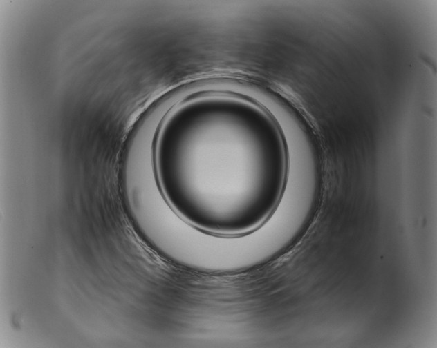 X0000099401260200805221847