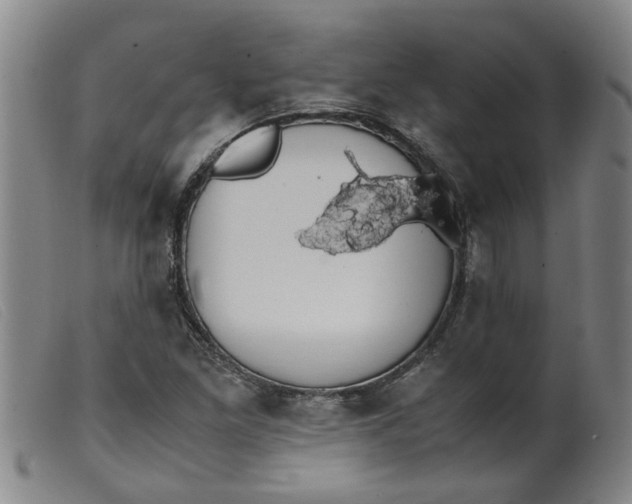 X0000099401261200805221847