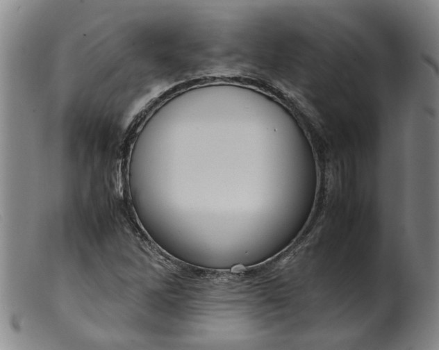 X0000099401262200805221847