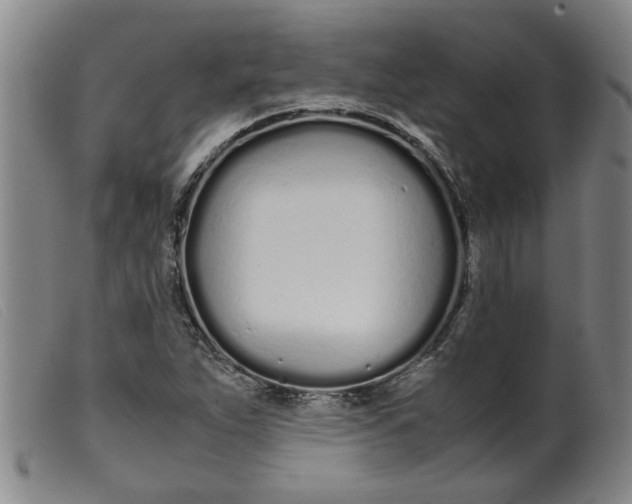 X0000099401263200805221847