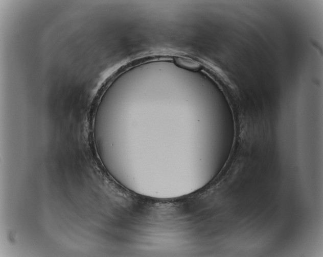 X0000099401264200805221847