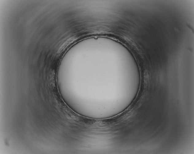 X0000099401265200805221847