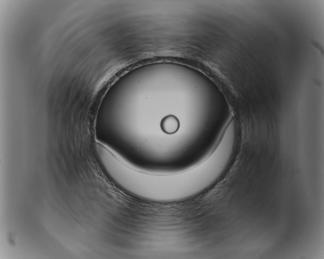 X0000099401266200805221847