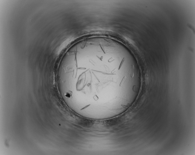 X0000099401267200805221847