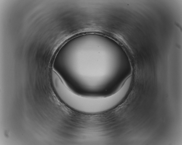 X0000099401268200805221847