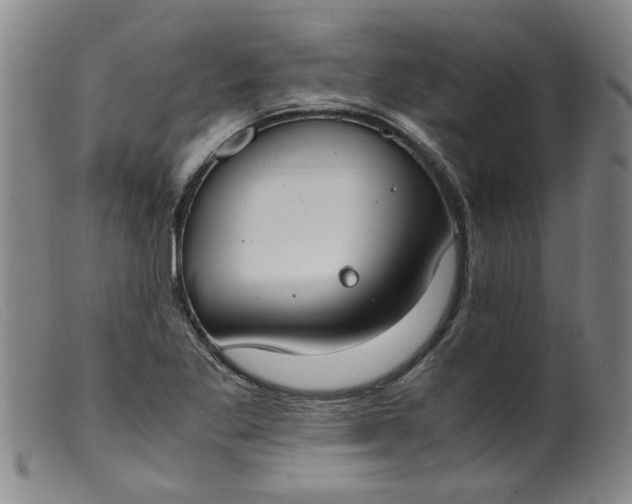 X0000099401269200805221847